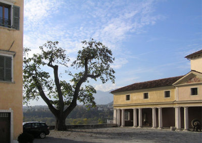 PALAZZO DOGLIONI DALMAS